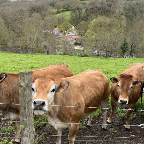 Agriculture