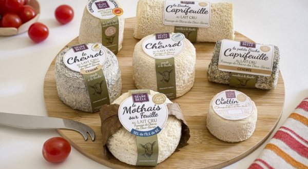 Coopérative laitière de la Sèvre : partenariat avec la Chambre d’agriculture