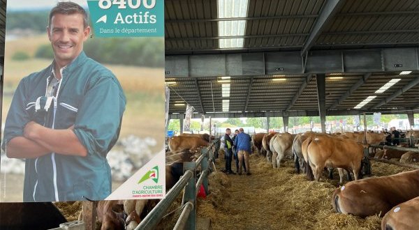 Pays de Gâtine : l’agriculture fait son festival à Parthenay
