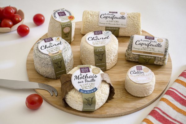 Coopérative laitière de la Sèvre : partenariat avec la Chambre d’agriculture Coopérative laitière de la Sèvre : partenariat avec la Chambre d’agriculture