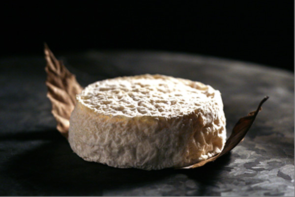 Le Mothais sur feuille obtient son Appellation d’Origine Contrôlée Le Mothais sur feuille obtient son Appellation d’Origine Contrôlée