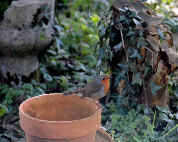 48 heures nature en Deux-Sèvres, du 29 septembre au 1er octobre 48 heures nature en Deux-Sèvres, du 29 septembre au 1er octobre